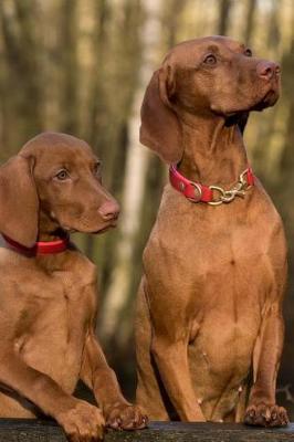 Book cover for Two Curious Vizsla Dogs Journal