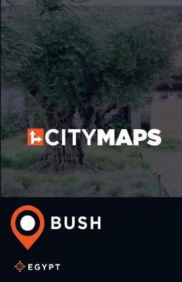 Book cover for City Maps Bush Egypt