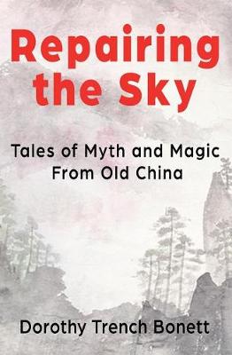 Book cover for Repairing the Sky