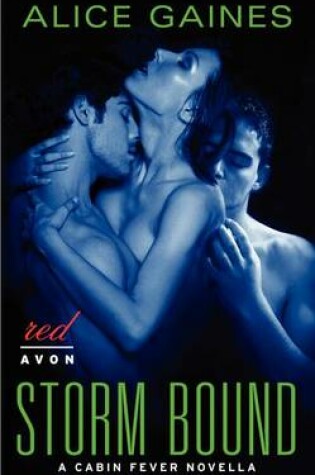 Cover of Storm Bound