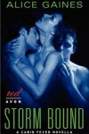 Book cover for Storm Bound