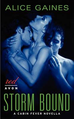 Cover of Storm Bound