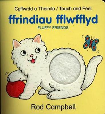 Book cover for Cyffwrdd a Theimlo: Ffrindiau Fflwfflyd / Fluffy Friends