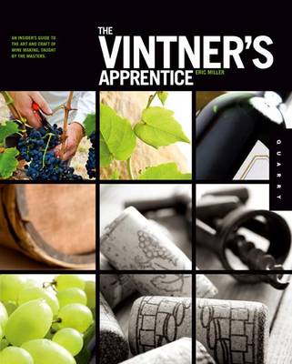 Book cover for The Vintner's Apprentice