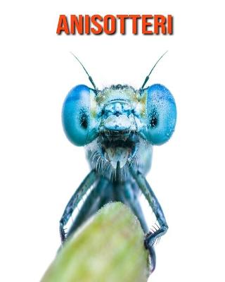 Book cover for Anisotteri