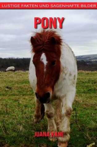 Cover of Pony