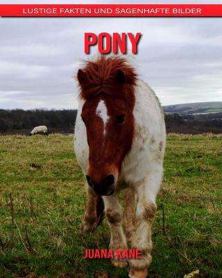 Book cover for Pony