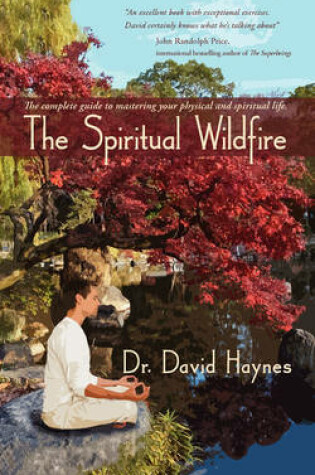 Cover of The Spiritual Wildfire