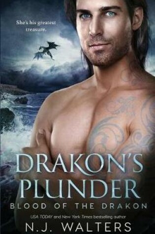 Cover of Drakon's Plunder