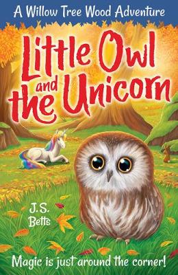 Book cover for Willow Tree Wood Book 4 - Little Owl and the Unicorn