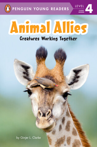 Book cover for Animal Allies