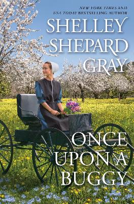 Book cover for Once Upon a Buggy