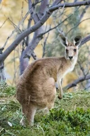 Cover of Hello There, Kangaroo Australia Journal