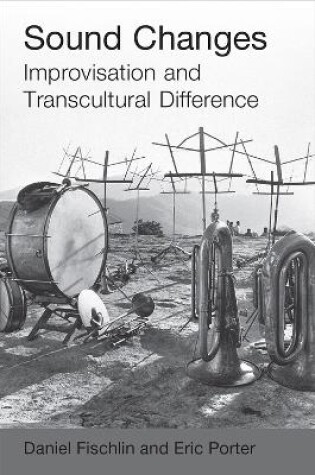 Cover of Sound Changes