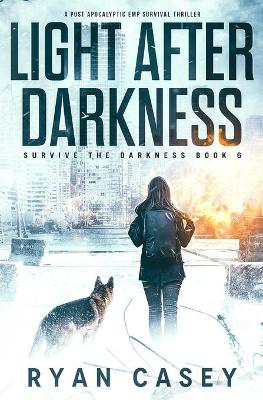 Book cover for Light After Darkness