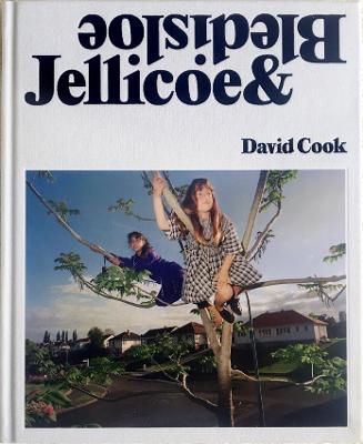 Book cover for Jellicoe & Bledisloe