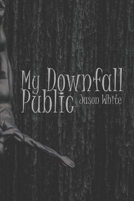 Book cover for My Public Downfall