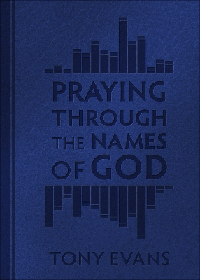 Book cover for Praying Through the Names of God