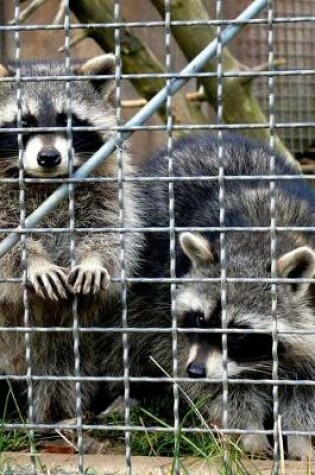 Cover of Raccoons Trash Pandas Looking for an Escape Journal