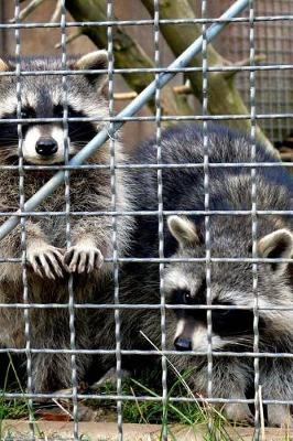 Book cover for Raccoons Trash Pandas Looking for an Escape Journal