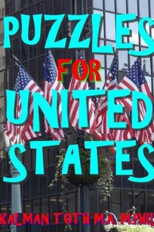 Cover of Puzzles for United States