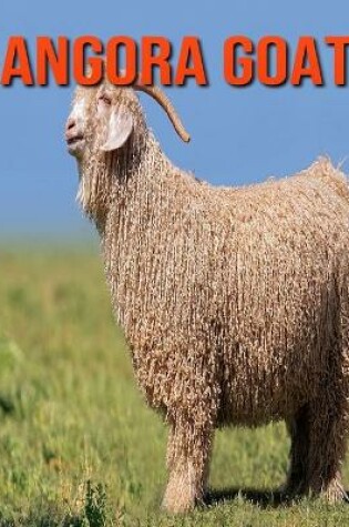 Cover of Angora Goat