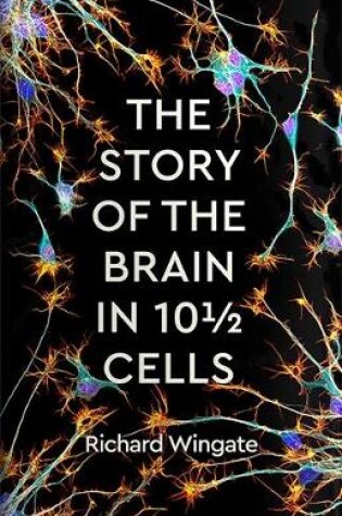 Cover of The Story of the Brain in 10½ Cells