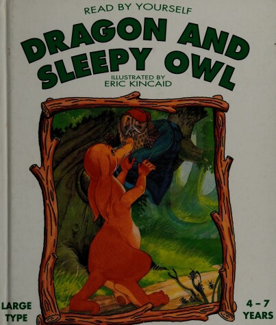 Book cover for Dragon and Sleepy Owl