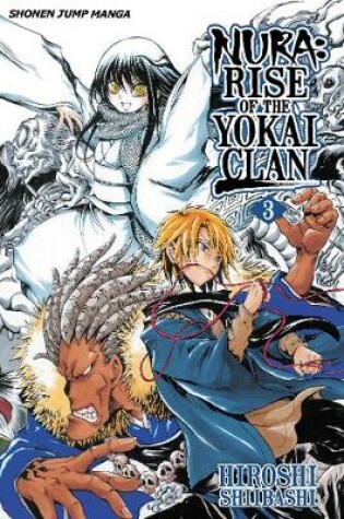 Cover of Nura: Rise of the Yokai Clan, Vol. 3