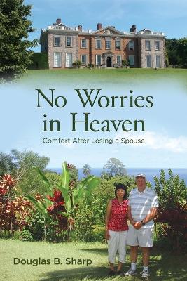 Book cover for No Worries in Heaven