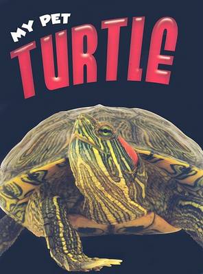 Book cover for Turtle