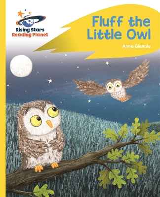 Cover of Reading Planet - Fluff the Little Owl - Yellow Plus: Rocket Phonics