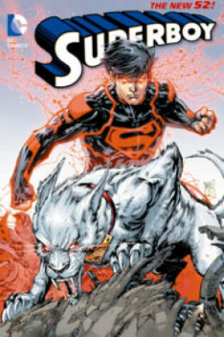 Cover of Superboy Vol. 4 Blood And Steel (The New 52)