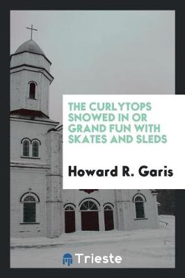 Book cover for The Curlytops Snowed in or Grand Fun with Skates and Sleds