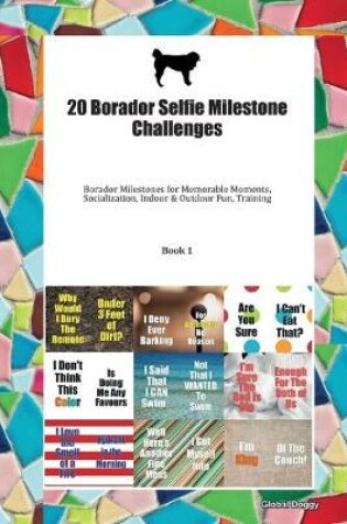 Cover of 20 Borador Selfie Milestone Challenges