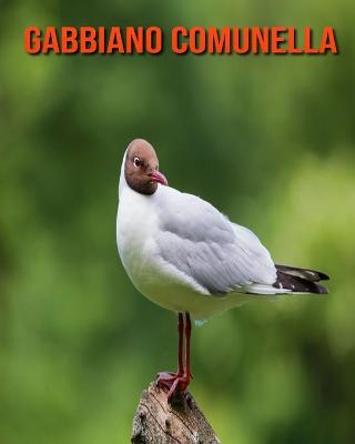 Book cover for Gabbiano comunella