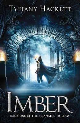 Book cover for Imber