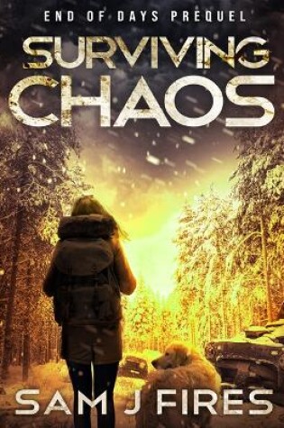 Cover of Surviving Chaos