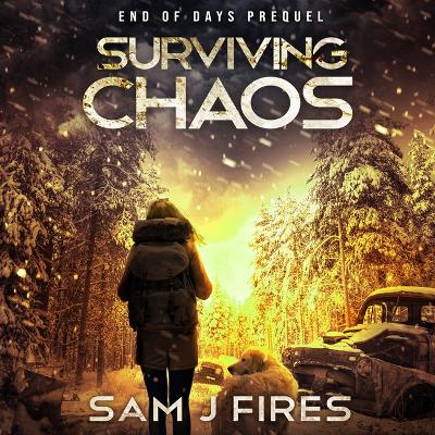 Book cover for Surviving Chaos