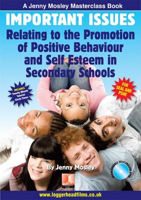 Book cover for Important Issues Relating to the Promotion of Positive Behaviour and Self Esteem in Secondary Schools