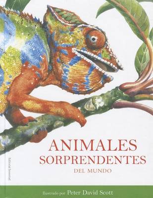 Book cover for Animales Sorprendentes del Mundo
