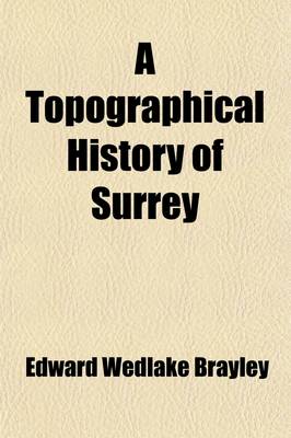 Book cover for A Topographical History of Surrey (Volume 4, PT. 1)