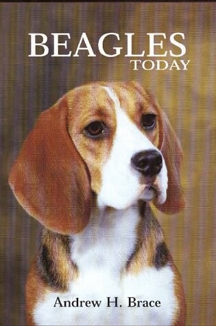 Cover of Beagles Today