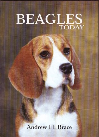 Book cover for Beagles Today