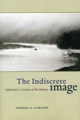 Cover of The Indiscrete Image