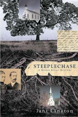 Cover of Steeplechase