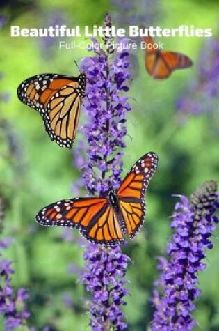 Cover of Beautiful Little Butterflies Full-Color Picture Book