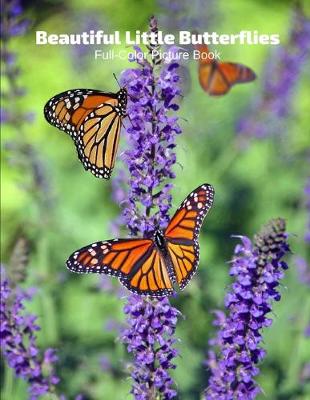 Book cover for Beautiful Little Butterflies Full-Color Picture Book