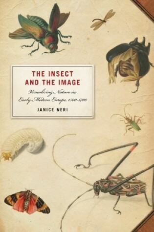 Cover of The Insect and the Image