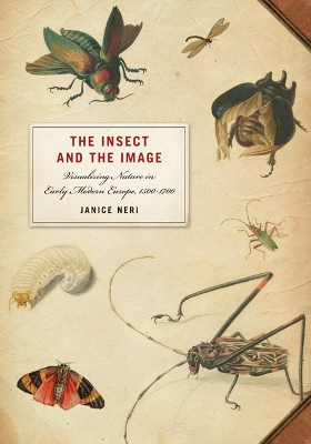 Book cover for The Insect and the Image